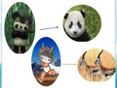 第19課人教版三年級(jí)美術(shù)下冊(cè)保護(hù)珍稀野生動(dòng)物 課件
