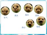 第6課 喜怒哀樂人教版美術五年級下冊課件