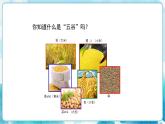人教版小學(xué)四年級美術(shù)下冊《“五谷”作畫》精品課件內(nèi)嵌視頻