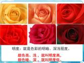 人教版小學四年級美術下冊《色彩的明與暗》參考課件