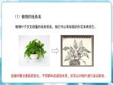 人教版小學(xué)四年級美術(shù)下冊《平凡的美》精品課件內(nèi)嵌視頻