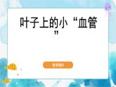 第8課 葉子上的小“血管” 人教版 美術(shù)二年級下冊課件