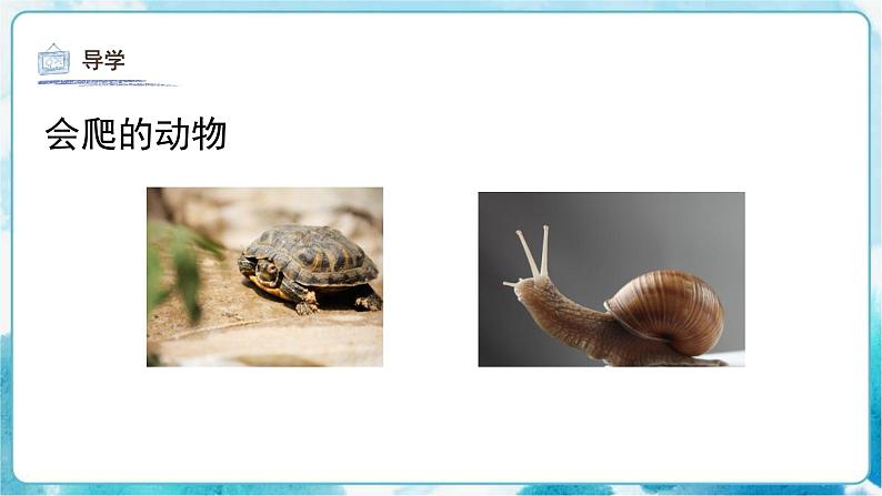 第17课 会爬的玩具人教版 美术二年级下册课件05