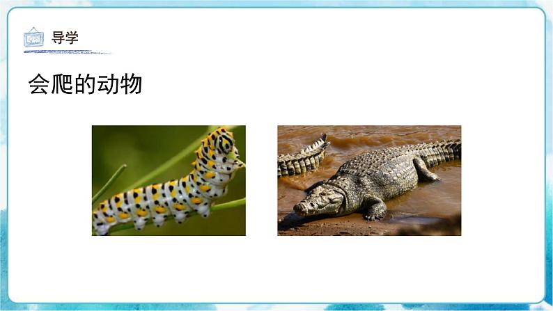 第17课 会爬的玩具人教版 美术二年级下册课件06