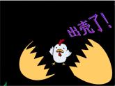 第3課 出殼了 美術(shù)一年級(jí)下冊(cè)-人美版課件