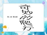第11課奇妙的爬行 課件