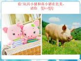 第14課人美版 一年級美術(shù)下冊 介紹我喜歡的玩具課件