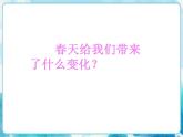 第15課一年級(jí)下冊(cè)美術(shù) 春天的色彩  人美版課件