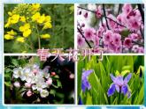 第15課一年級(jí)下冊(cè)美術(shù) 春天的色彩  人美版課件
