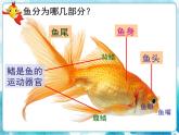 第17課一年級下冊美術(shù)釣魚人美版課件