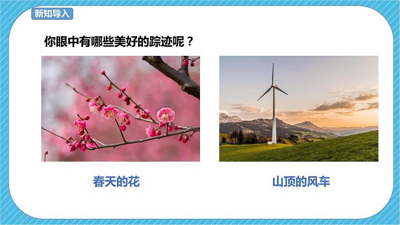 人教版美术 六年级下册 第二课 寻找美的踪迹-课件第2页