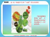 第八课《叶子上的小“血管》课件+教案