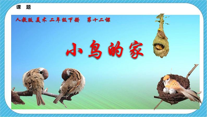 人教版 美术 二年级下册 第十二课《小鸟的家》课件第3页