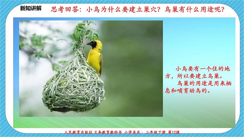人教版 美术 二年级下册 第十二课《小鸟的家》课件第5页