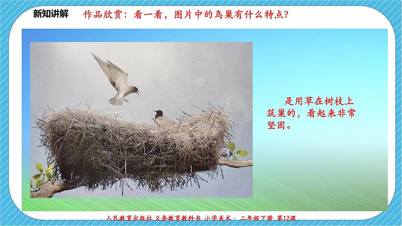 人教版 美术 二年级下册 第十二课《小鸟的家》课件第6页
