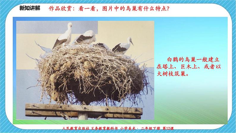 人教版 美术 二年级下册 第十二课《小鸟的家》课件第7页