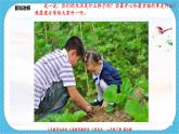第二十课《五彩缤纷的生活》课件+教案+视频