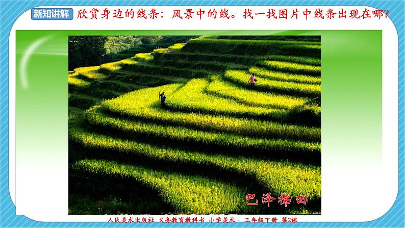 人美版美术三年级下册第二课《画中的线条》课件第6页