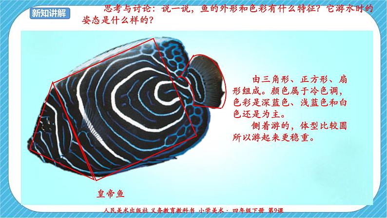 第九课《用彩墨画鱼》课件+教案+说课课件+说课稿+素材08