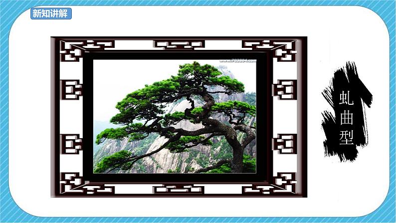 第11课 学画松树 课件+教案05