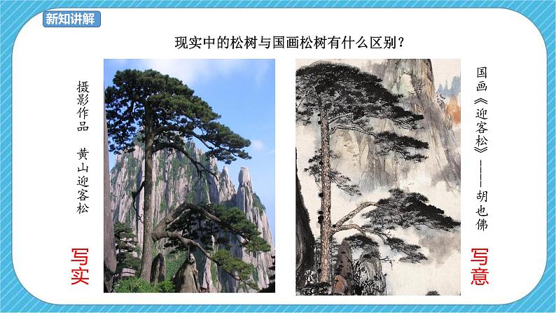 第11课 学画松树 课件+教案08