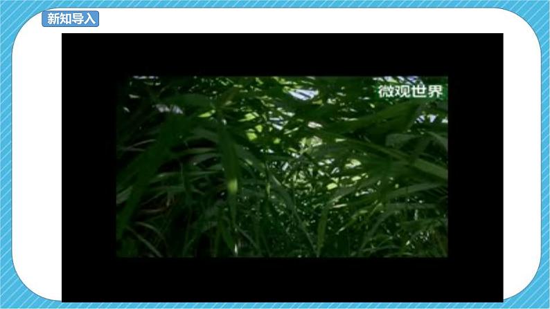 第14课 微观世界 课件+教案04
