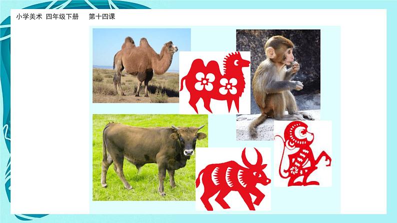 美术岭南版四年级下册第十四课《成群的动物》课件第8页