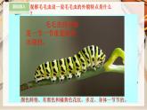 【人美版】二下美術(shù)  第六課《節(jié)節(jié)蟲》（授課課件+授課教案+說課課件+說課教案）