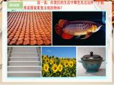 【人美版】二下美術(shù)  第六課《節(jié)節(jié)蟲》（授課課件+授課教案+說課課件+說課教案）