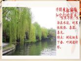【人美版】二下美術(shù)  第三課 《認識身邊的樹》（授課課件+授課教案+說課課件+說課教案+素材）