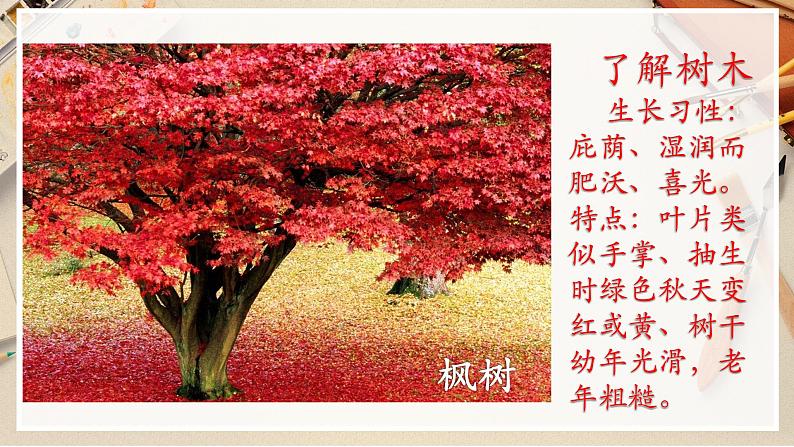 【人美版】二下美术  第三课 《认识身边的树》（授课课件+授课教案+说课课件+说课教案+素材）05