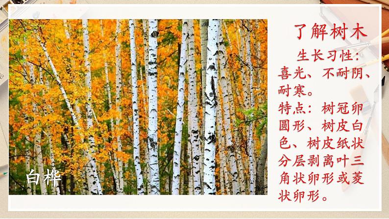 【人美版】二下美术  第三课 《认识身边的树》（授课课件+授课教案+说课课件+说课教案+素材）06