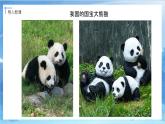 第十一課《藝術(shù)品中的動(dòng)物》課件+教案