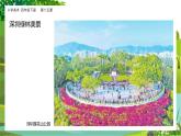 美術(shù)嶺南版四年級(jí)下冊(cè)第十五課《家鄉(xiāng)綠夢(mèng)》課件＋教案