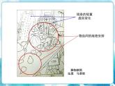 第4课人教版五年级下册学构图 课件