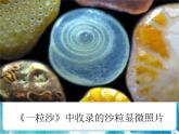 第14課人教版五年級(jí)下冊(cè)微觀世界 課件