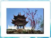 第18課旅游節(jié) 課件
