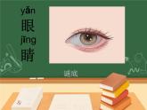 21湘教小學美術(shù)一上《大眼睛 》PPT課件
