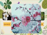 21三年級上冊美麗的花課件PPT