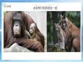 第十二课《和妈妈在一起》课件+教案