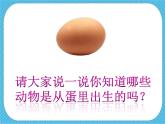 第三課《出殼了》授課課件+教案+說課課件+說課稿