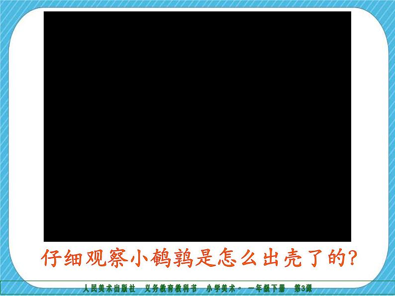 第三课《出壳了》授课课件+教案+说课课件+说课稿05