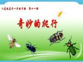 第十一課 《奇妙的爬行》課件+教案+說課課件+說課