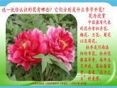 第十九课 《花的世界》课件+教案+说课课件+说课教案