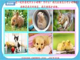 第十一課《藝術(shù)作品中的動(dòng)物》課件+教案+說(shuō)課課件+說(shuō)課教案