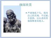 《外國美術(shù)作品中人物的情感表現(xiàn)》課件+教案