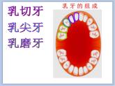 《我们的“爱牙日”》课件+教案