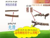 湖南美術(shù)出版社小學(xué)美術(shù)一年級下冊 13. 彩泥連連看課件PPT
