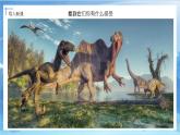 第一課《恐龍世界》課件+教案