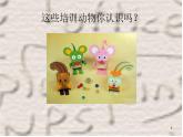 17會爬的玩具課件PPT